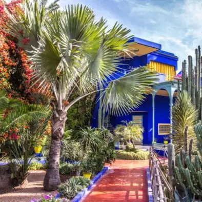 Majorelle garden, Marrakesh, Morocco